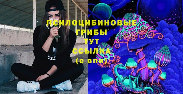 mdpv Верхний Тагил