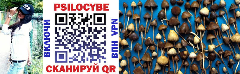 купить закладку  Хасавюрт  Галлюциногенные грибы мицелий 