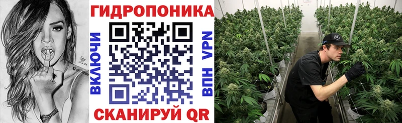 Шишки марихуана Bruce Banner  MEGA как войти  Хасавюрт  где найти наркотики 
